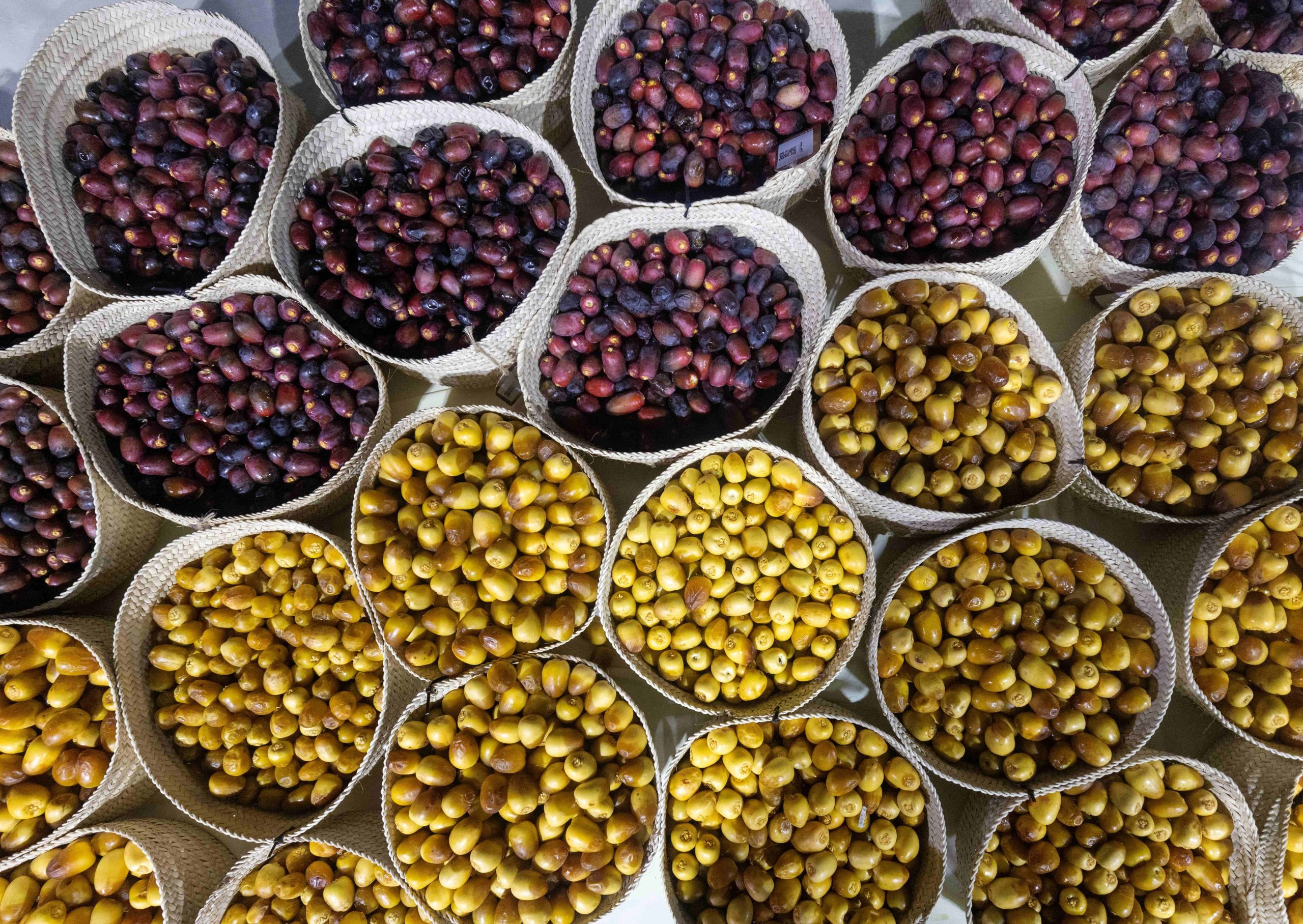 مهرجان الوثبة للرطب