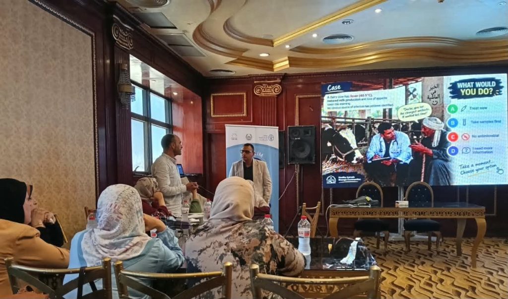 الفاو تدرب 500 طبيب بيطري على الاستخدام الرشيد للمضادات الحيوية 12 الاستخدام الرشيد للمضادات الحيوية
