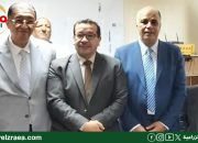 تقاوي البطاطس