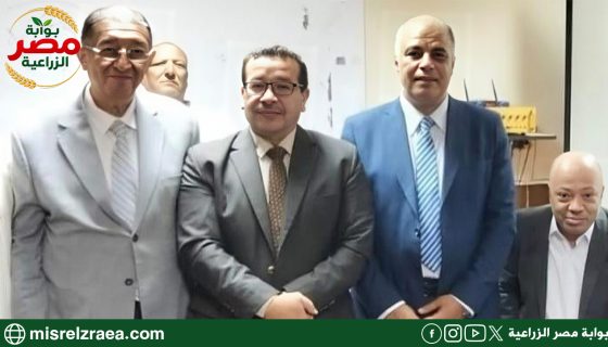 د. علاء عزوز: إنتاج تقاوي البطاطس محليًا يحظى باهتمام وزارة الزراعة 8 د. علاء عزوز: إنتاج تقاوي البطاطس محليًا يحظى باهتمام وزارة الزراعة