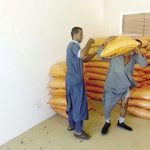 الأسمدة الصيفية