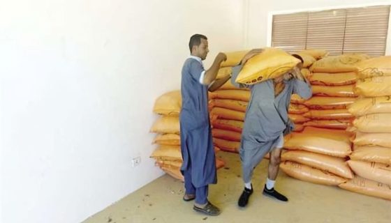 الأسمدة الصيفية