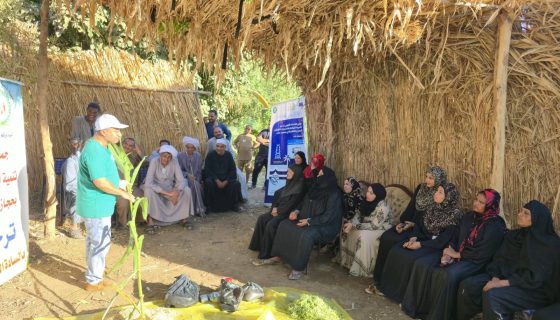 المخلفات الزراعية