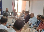 تقاوي البطاطس