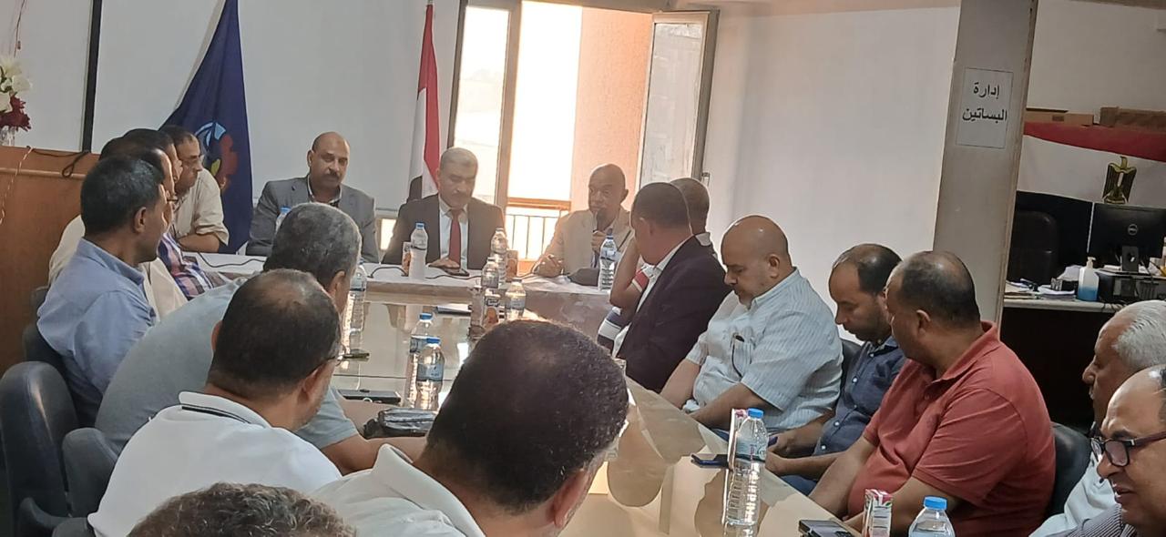 تقاوي البطاطس