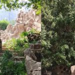 حديقة الأسماك بالزمالك