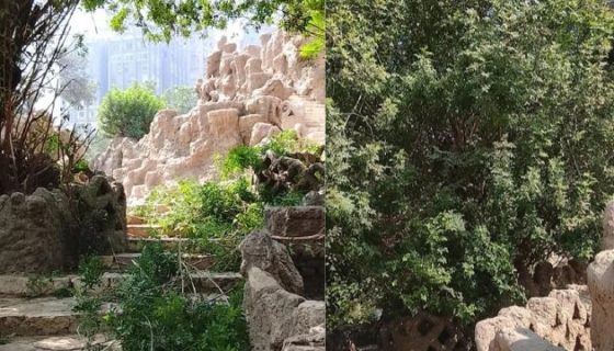 حديقة الأسماك بالزمالك