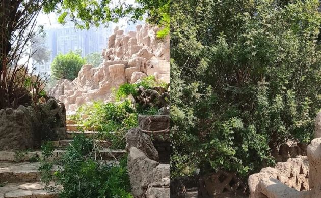 حديقة الأسماك بالزمالك
