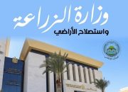 طبيب بيطري