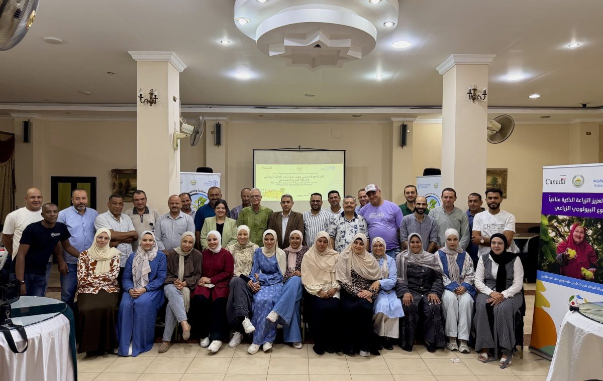 اختتمت منظمة الأغذية والزراعة للأمم المتحدة (الفاو)، بالتعاون مع وزارة الزراعة واستصلاح الأراضي، التدريب الميداني المتخصص في النوع الاجتماعي، بمشاركة 85 ميسرًا وميسرة من المدارس الحقلية للمزارعين بمحافظات البحيرة وكفر الشيخ وأسوان. يأتي هذا التدريب في إطار مشروع تعزيز الزراعة الذكية مناخيًا والتنوع البيولوجي الزراعي الممول من الشؤون العالمية الكندية، بحضور الدكتور حسين زكريا، مدير المشروع، ووكلاء وزارة الزراعة ومقرري المجلس القومى للمرأة بالمحافظات المستهدفة، إلى جانب فريق عمل المشروع. تضمن البرنامج التدريبي جلسات تفاعلية حول مفاهيم وأدوار النوع الاجتماعي وأثرها على مشاركة النساء والرجال في المدارس الحقلية للمزارعين، بالإضافة إلى أنشطة عملية حول تحليل SWOT، والتعريف بالسنة الدولية للمزارعات 2026، وخطة إدماج النوع الاجتماعي بالمشروع. وسلط التدريب الضوء على قصص نجاح ملهمة للمزارعات، وأهمية تصنيف البيانات وإدماج منظور النوع الاجتماعي، والأدوار المبنية على النوع الاجتماعي في المجتمعات الريفية. ويأتي هذا التدريب ضمن جهود المشروع الرامية إلى تعزيز مشاركة النساء والرجال على حد سواء، وبناء قدرات الميسرين والميسرات، بما يسهم في دعم مجتمعات ريفية أكثر قدرة على التكيف مع التغيرات المناخية.