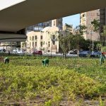 تخضير القاهرة الكبرى