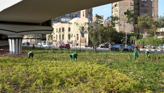 تخضير القاهرة الكبرى