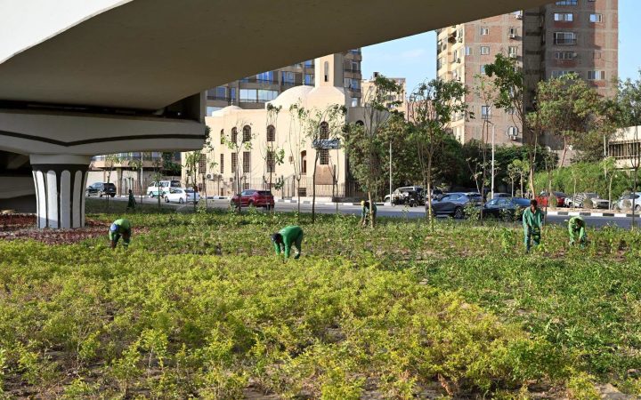 تخضير القاهرة الكبرى