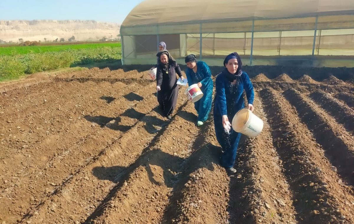 المرأة المصرية