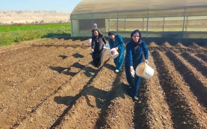 المرأة المصرية