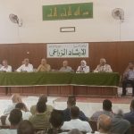 تقاوي البطاطس