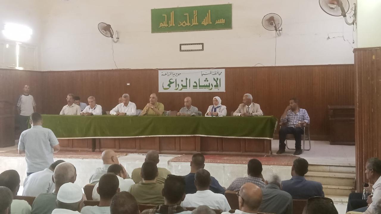 تقاوي البطاطس