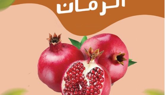 ممارسات الزراعة الذكية مناخياً لإنتاج الرمان