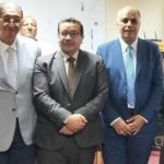 تقاوي البطاطس