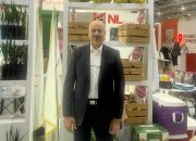 شركة HZPC