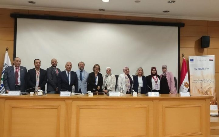محصول القمح
