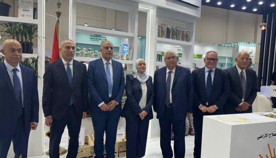 علاء عزوز