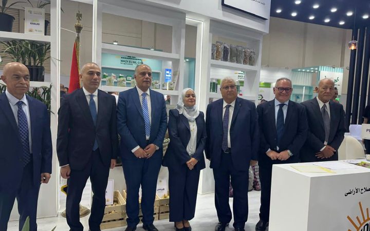 علاء عزوز