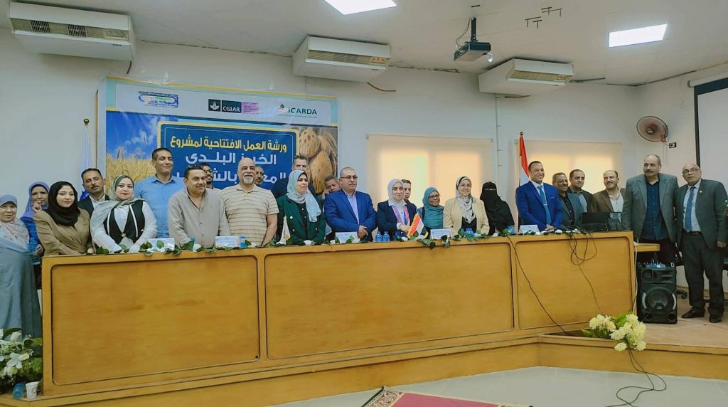 الخبز البلدي بالشعير في ورشة عمل للزراعة و الإيكاردا بالوادي الجديد 12 الخبز البلدي بالشعير