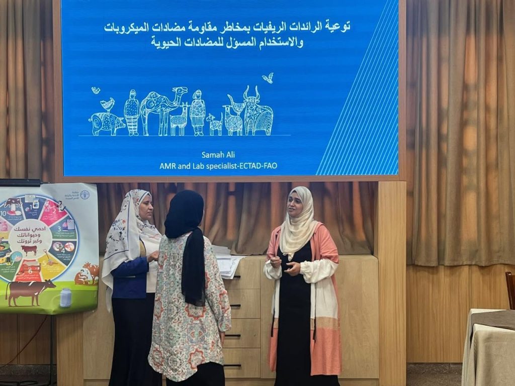 الفاو تنظم تدريبا للأطباء البيطريين وورشة عمل للرائدات الريفيات بأسيوط 12 الفاو