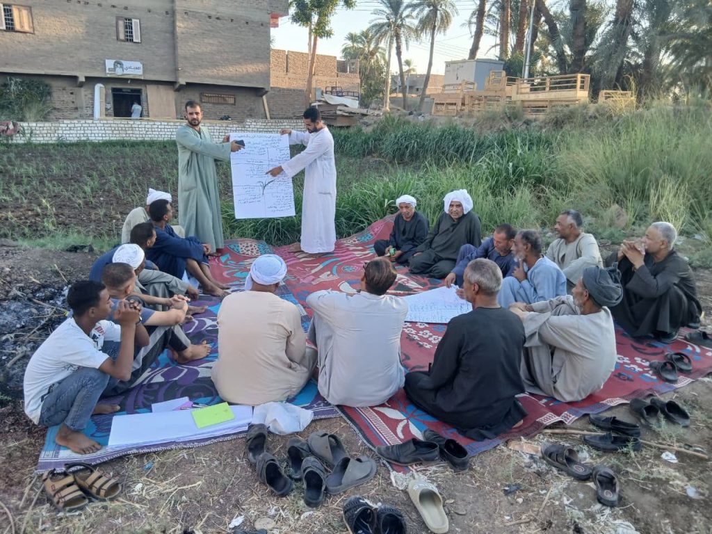 الفاو تنظم 81 مدرسة حقلية لـ 2000 مزارع بـ أسيوط وسوهاج وقنا 12 الفاو
