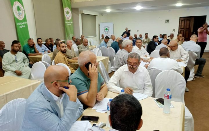 مزاد القطن