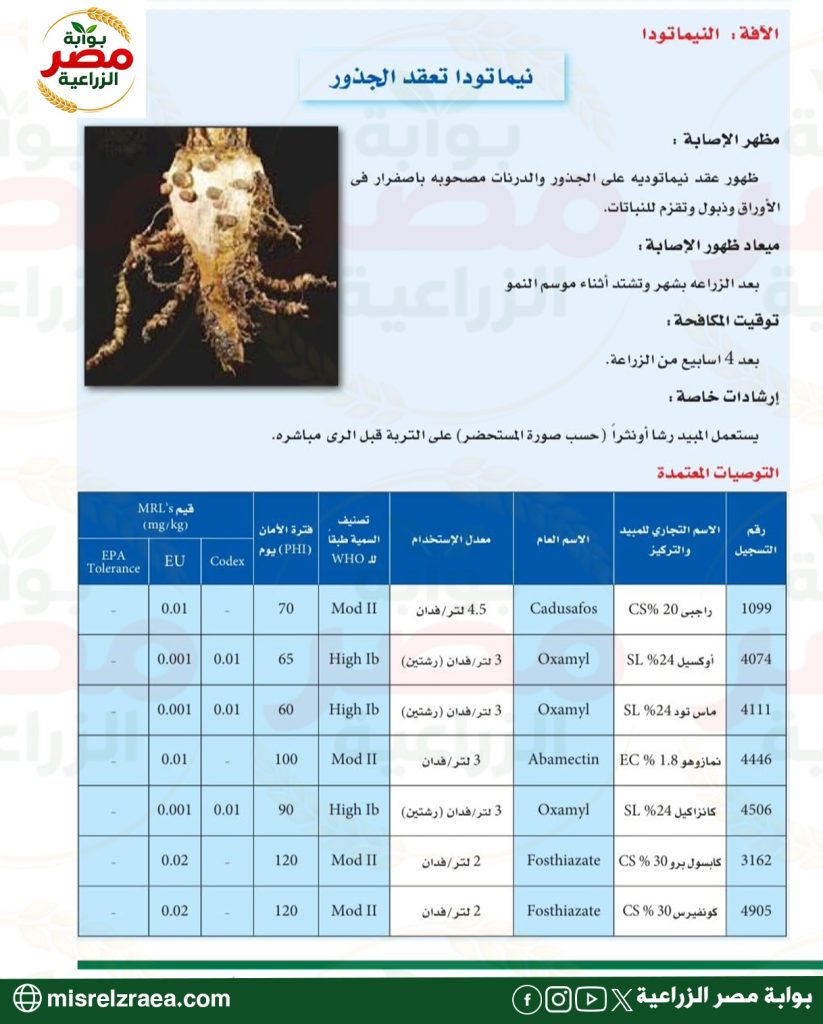 المبيدات المعتمدة لمكافحة آفات بنجر السكر 