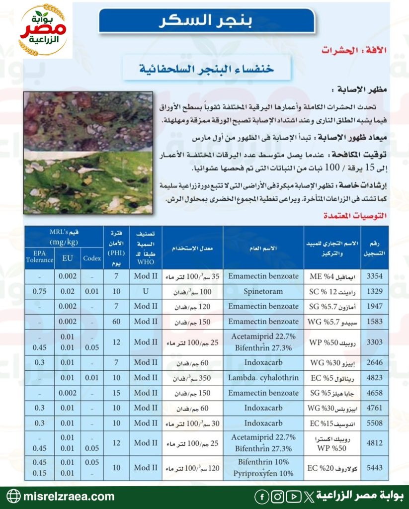 المبيدات المعتمدة لمكافحة آفات بنجر السكر 