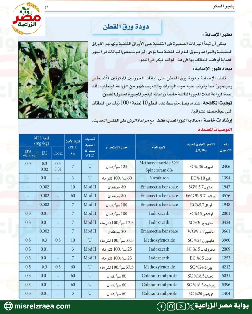المبيدات المعتمدة لمكافحة آفات بنجر السكر 