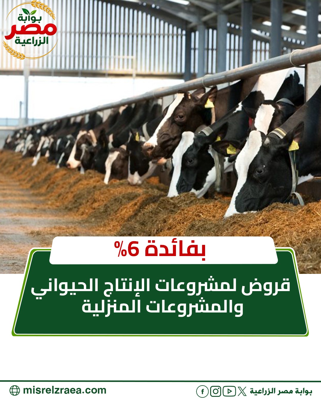 قروض مشروعات الإنتاج الحيواني