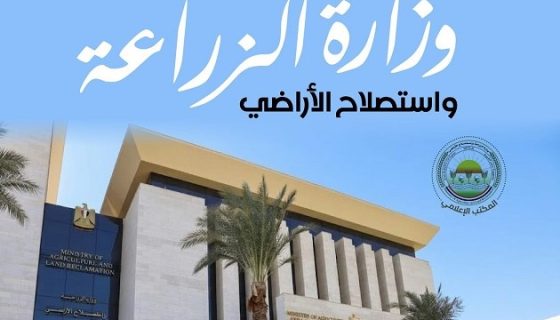 مخلفات المجازر