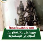 ضبط تماسيح