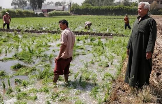 فرص عمل موسمية في إسبانيا