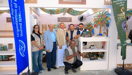 الفاو