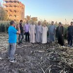 مخلفات الذرة